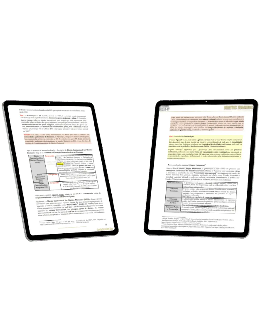 eBook Direitos Humanos PF